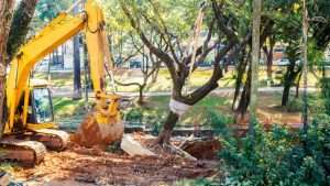 Tree Removals Dublin